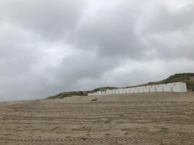 20526328_10155821804220942_6718641691336217367_n